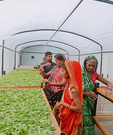 Cultivate RSFP Port offers innovative solutions for sustainable agriculture and resource management.