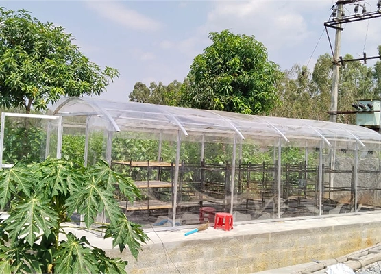 A solar dryer designed for transforming RSFP, offering sustainable and eco-friendly drying solutions