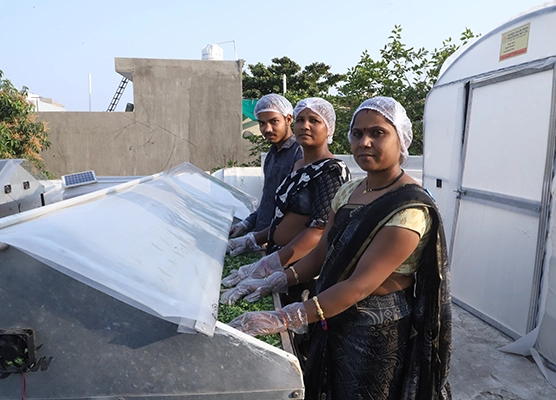 A user-friendly solar dryer that simplifies drying with eco-friendly and reliable technology.