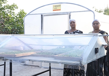 A reliable solar dryer for yard harvesting, designed to enhance productivity and preserve quality.