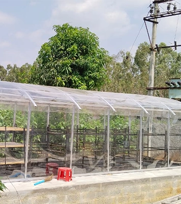 Optimizing food preservation with sustainable solar drying methods, enhancing product quality.
